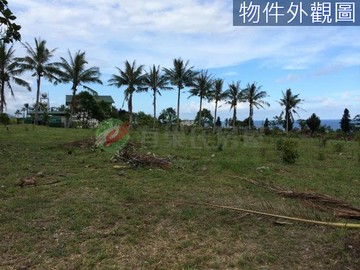 台東東河雙臨路方正休閒美農地(可分割買賣)｜台東縣東河鄉南佳里段