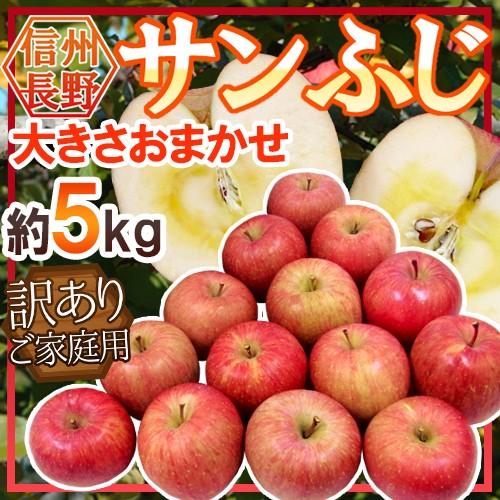 りんご 長野産 ”蜜入りサンふじ” 約5kg 訳あり 大きさおまかせ 送料無料