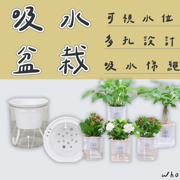 吸水花盆 自動吸水盆栽 透明花盆 懶人盆栽 塑膠盆栽 水耕植物 花盆 綠植 簡約花盆 園藝用品 花架 花器