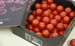 高糖度＆高機能性 フルーツトマト1kg フルティカトマト 完熟 糖度8以上 ミニトマト プチ フルーツトマト Akr-0002