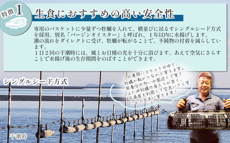 瀬戸内海産 殻付き牡蠣 「瑞宝（ずいほう）」＜40個入り＞ 生食可 真ガキ シングルシード 養殖 生牡蠣