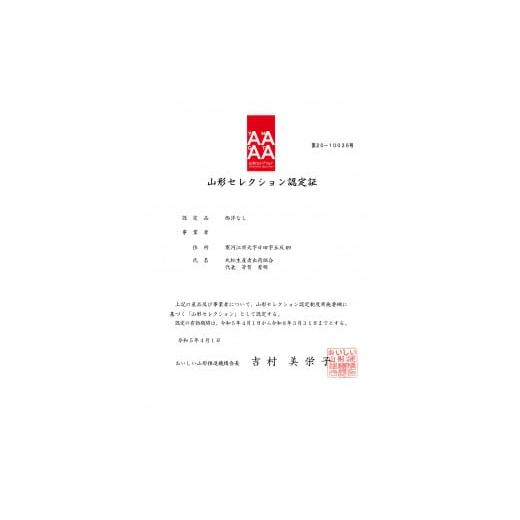 ふるさと納税 山形県 寒河江市 洋梨 「追熟 ラ・フランス」 5kg（14〜18玉） 令和5年産 山形県産　018-B-MM026