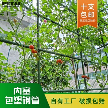 。豆角架黃瓜架子絲瓜爬藤架子包塑鋼管園藝支架瓜棚架爬藤架戶外