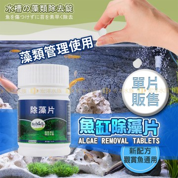 宏洋水族【除藻片】魚缸除藻 幫助水體穩定 魚缸除藻 淨水抑藻 生物絮凝 抑藻劑 水族缸過濾 淨化水質 去除綠藻