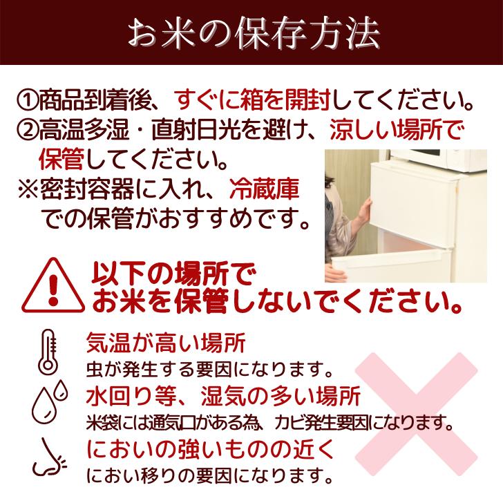 新米 5年産 新潟産 こしいぶき 10kg 5kg×2袋 受注精米 お歳暮 冷めてもおいしい 新潟県産 米 白米 精米 減農薬 農家 直送 生産者 備蓄 ギフト 内祝