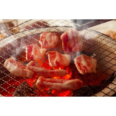 ふるさと納税 ブリオ　焼肉・BBQセット　　牛肉に負けない豚肉の味をご体験 愛知県半田市