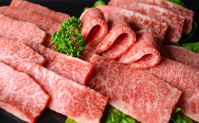 定期便 6回 訳あり ロース カルビ 焼肉 切り落とし 1kg（500g×2p）A4～A5 博多和牛 配送不可 離島