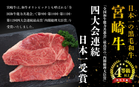 KU044 ＜宮崎牛＞こま肉＆宮崎牛ミンチ1kgセット！美味しい牛肉をご家庭で