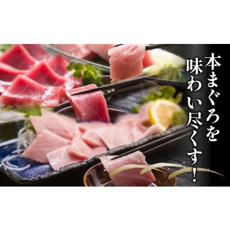 ふるさと納税 本まぐろづくし セット 大トロ500g 中トロ600g 赤身600g 鮪 海鮮丼 刺し身 刺身 盛り合わせ 冷凍 魚の刺身 大分県産 九州産 津久.. 大分県津久見市