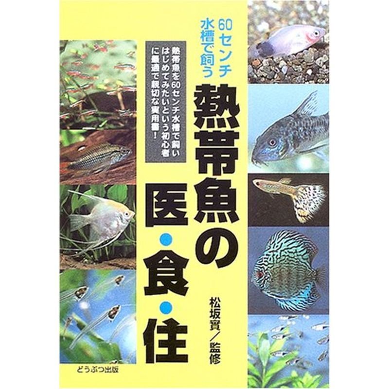 熱帯魚の医・食・住?60センチ水槽で飼う