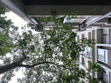 精工禪．質感兩房宅｜近園區×明星學區×生活便利｜新竹縣竹北市嘉勤北路