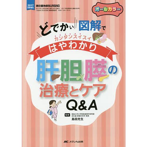 肝胆膵の治療とケアQ A どでかい図解でカンタンスイスイはやわかり オールカラー