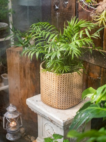 掬涵仿藤編織水泥花盆器皿復古大號套盆輕奢陽臺綠植盆栽擺件裝飾