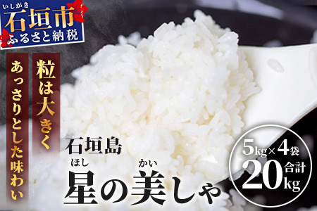 令和５年産新米 石垣島産 星の美しゃ（ほしのかいしゃ）20kg（5kg×4袋）MK-5