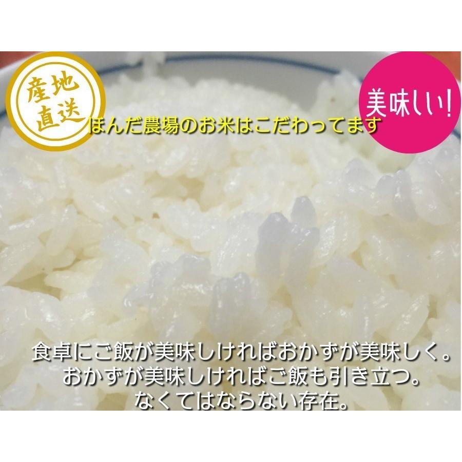 令和5年産 新米 無農薬  有機米 天日干し こしひかり食用玄米 20kg  天地の誉  EM 農法 JAS  オーガニックお米