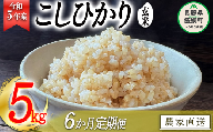 米 こしひかり 玄米 5kg × 6回 令和5年産 沖縄県への配送不可 2023年11月上旬頃から順次発送予定 米澤商店 コシヒカリ 玄米 長野県 飯綱町 [1354]