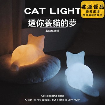 小夜燈 貓咪小夜燈 創意小夜燈 小眾小夜燈 高級感小夜燈  床頭燈 氛圍燈 夜燈 氣氛燈