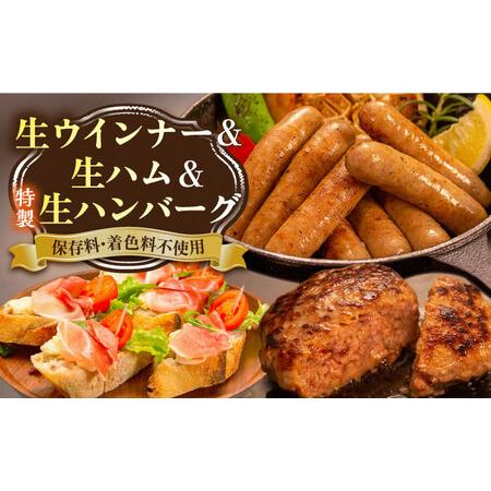 ふるさと納税 特製 生ハンバーグ 生ハム 生ウインナー 3種 セット 糸島市   志摩スモークハウス 肉 加工品 贈り物 [AOA028] 福岡県糸島市