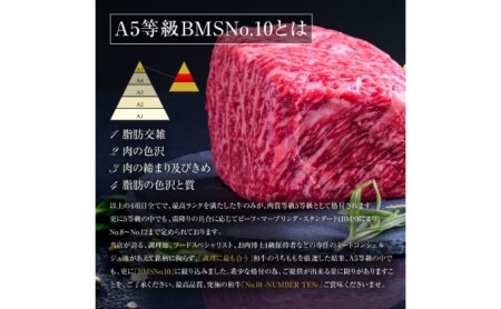 A5等級 BMSNo.10限定 黒毛和牛もも塊肉 ブロック 500g