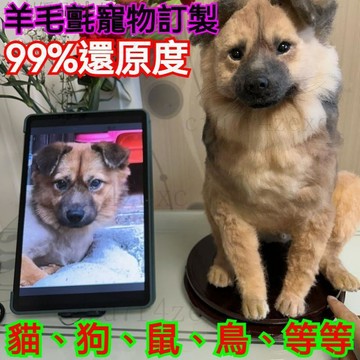 羊毛氈丨全身仿真寵物~手工狗狗貓咪家庭擺件送禮毛絨玩具 來圖客製 來圖訂製 交換禮 禮物 來圖定製 訂製禮物