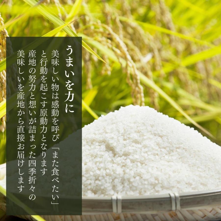 お米 10kg 思いを繋ぐ糸川のお米 結意米 ミネアサヒ 和歌山県産 