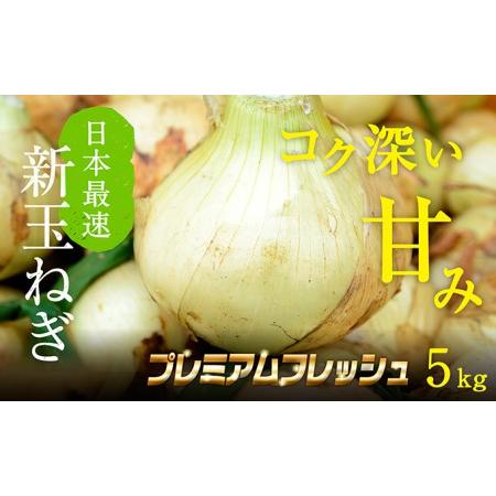 ふるさと納税 浜松篠原産新玉ねぎプレミアムフレッシュ5キロ 静岡県浜松市