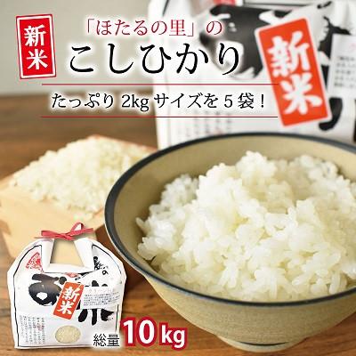 ふるさと納税 京丹波町 「京丹波ほたるの里」のこしひかり　令和5年産　2kg×5袋(総量10kg)