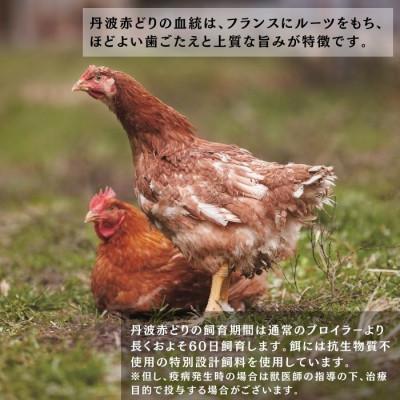 ふるさと納税 亀岡市 京都亀岡丹波山本の丹波赤どり 手羽元 計4kg(500g×8パック)