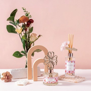 【現貨】韓國 cocodor 珂珂朵爾🌸2023春季花園系列#季節限定(普普花園/粉櫻花園)