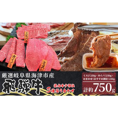 ふるさと納税 海津市産焼肉希少部位3種盛り合わせオリジナルカット  岐阜県海津市