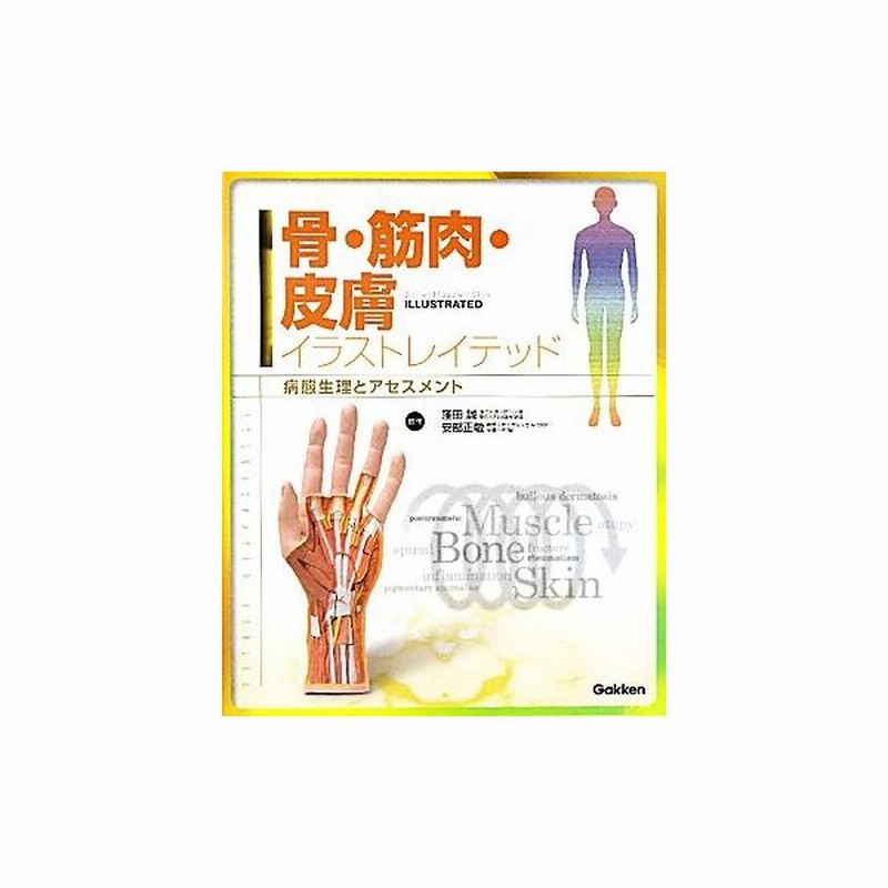 骨 筋肉 皮膚イラストレイテッド 病態整理とアセスメント 窪田誠 安部正敏 監修 通販 Lineポイント最大get Lineショッピング
