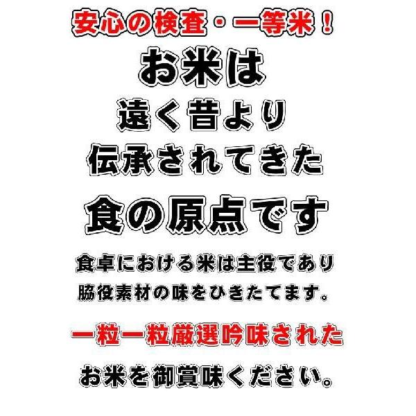 お米 10kg 長野県 白米 1等米 あきたこまち 10kg 平成31年度 送料無料