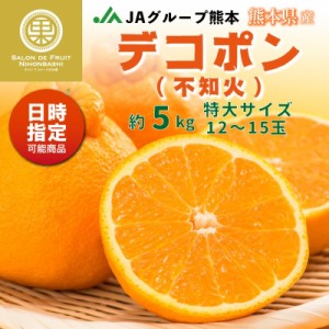 [予約 2024年1月1日必着] デコポン 約 5kg 12-15玉 特大 熊本県産 JA熊本うき お正月必着指定 お年賀 御年賀 冬ギフト