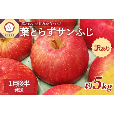 ふるさと納税 青森県産葉とらずサンふじりんご約5kg 青森県五所川原市