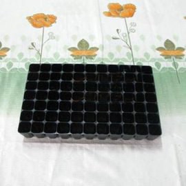 【77孔育苗穴盤】 加厚超耐用 家用穴盤35*21.5*5cm-5101002