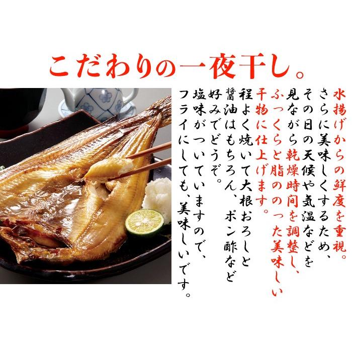 肉厚!!北海道産真ほっけ一夜干し250g×2［冷凍］