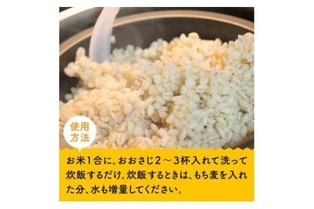 令和5年産 もち麦 2.5kg（500g×5袋）