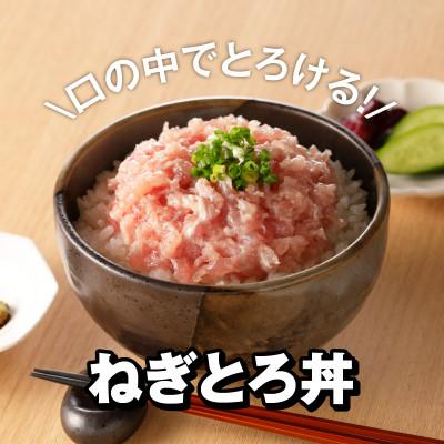 ふるさと納税 泉佐野市 大人気!マグロ サーモン丼ぶりセット1kg 010B313