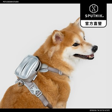 SPUTNIK｜拾便小包 - 銀