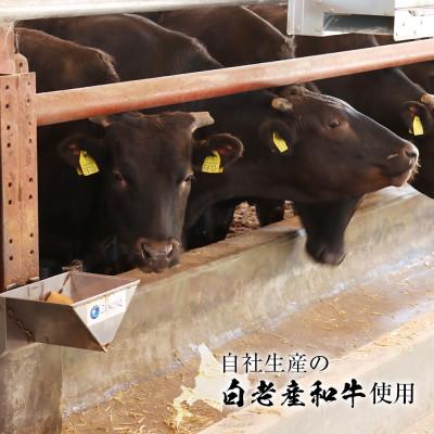 ふるさと納税 白老町 白老牛 すき焼き 霜降り ロース 500g 特製すき焼きのたれ付き