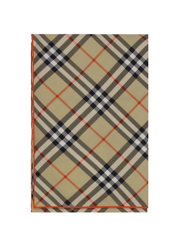 Burberry Scarves