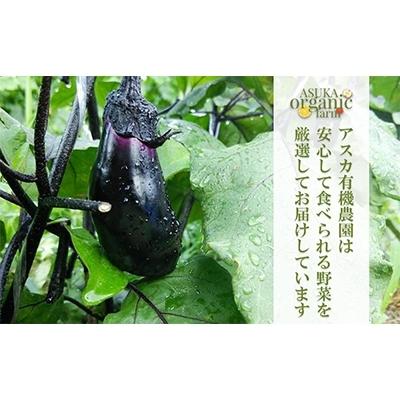 ふるさと納税 京都市 旬のこだわり京野菜セットS