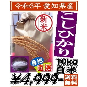 新米 白米 こしひかり10kg 令和5年愛知県産 送料無料 北海道お客様300円追加料金 沖縄県一部離島は重量別特別送料が加算されます あすつく対応休業日を除く