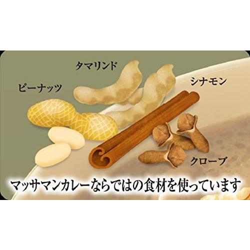 ヤマモリ タイカレーマッサマン 180g ×5個