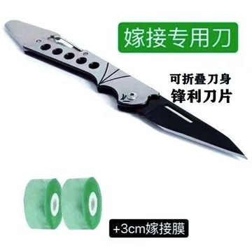 隔日達】可折疊 嫁接刀 嫁接果樹接芽刀 特種鋼 接木專用刀 削木嫁接工具 嫁接膜