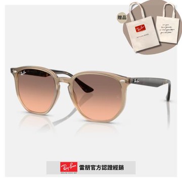 【RayBan 雷朋】六角形膠框太陽眼鏡(RB4306F-678846 54mm)