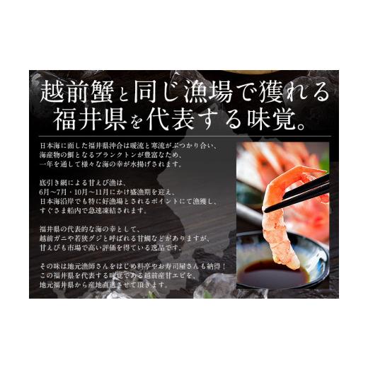 ふるさと納税 福井県 敦賀市 [053-a025] 福井県敦賀産甘えび・子持ち中サイズ約1kg(約80尾)【 塩荘 しおそう 敦賀 甘エビ えび エビ 海老 冷凍 …