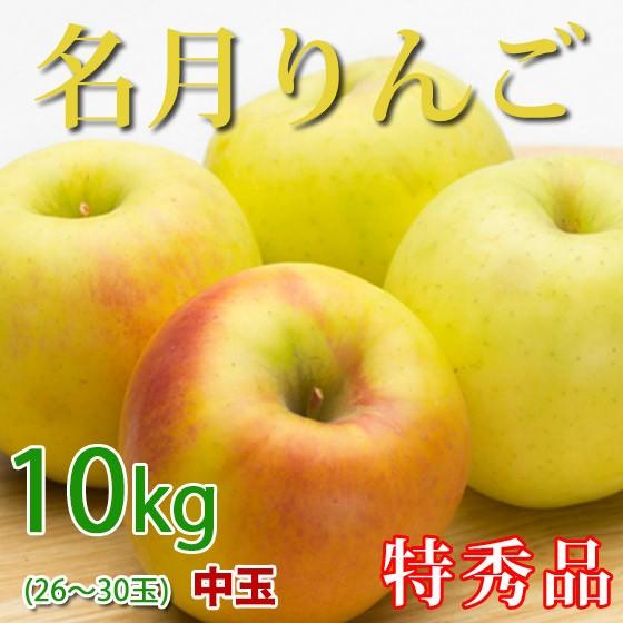 [ポイント5倍] 名月 りんご 長野県産 10kg 特秀 中玉 26-30玉 お歳暮 ギフト