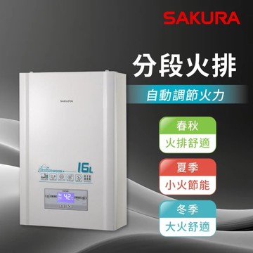 16L 無線溫控智能恆溫熱水器DH1628(基本安裝原廠保固)