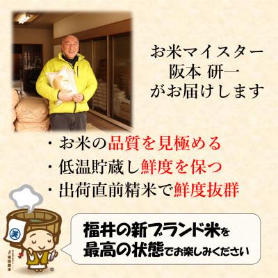 ふるさと納税 あわら市 いちほまれ 無洗米 5kg×2袋《お米マイスターが発送直前に精米!》